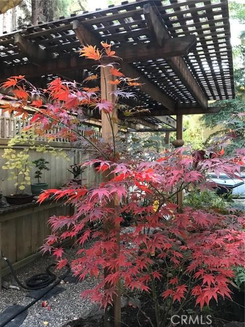 Detail Gallery Image 54 of 59 For 1975 Heritage Oak, Chico,  CA 95928 - 3 Beds | 2 Baths