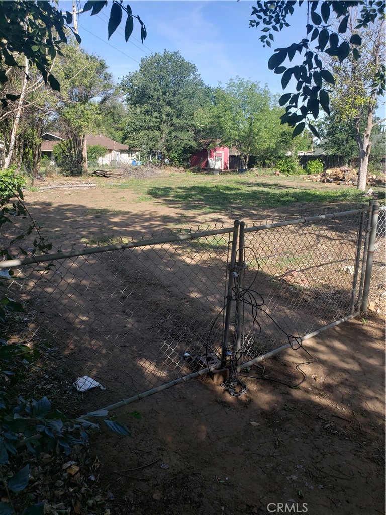 Back yard