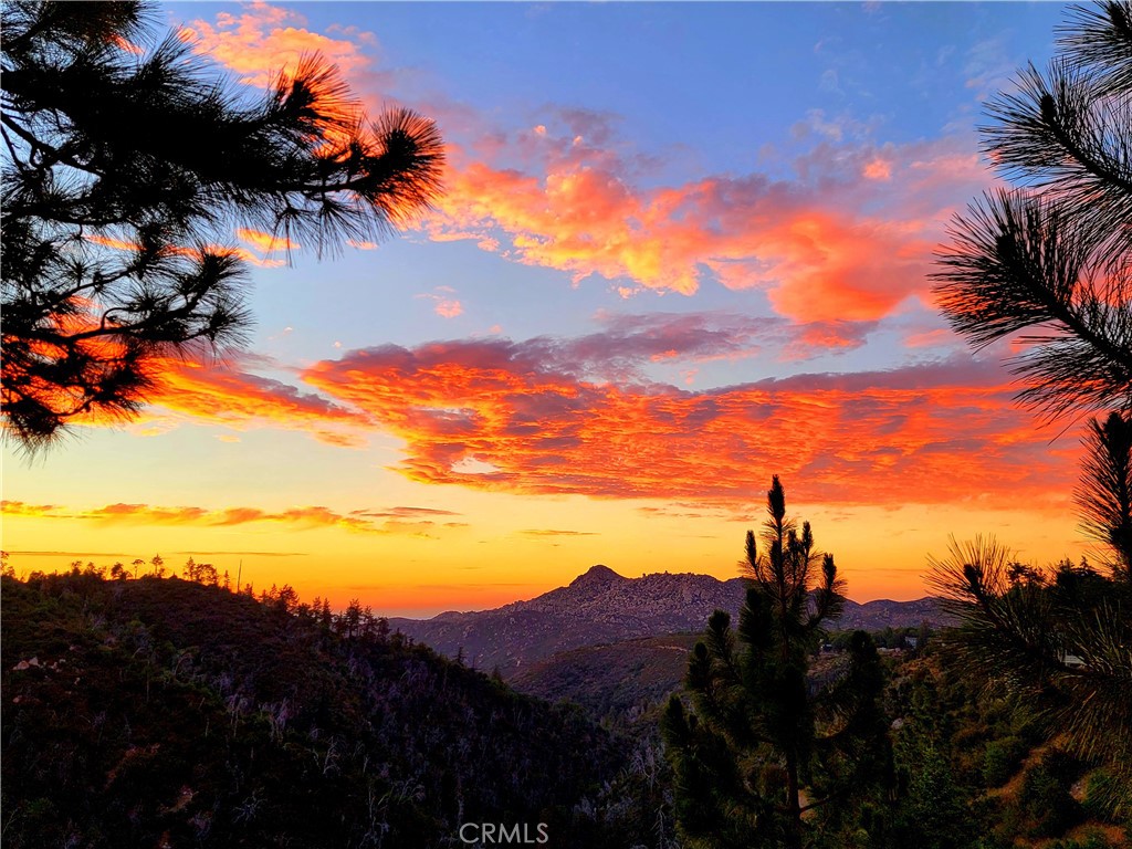 https://media.crmls.org/medias/64486c9a-40a0-4ac5-9a24-f3b896f38d88.jpg?preset=X-Large