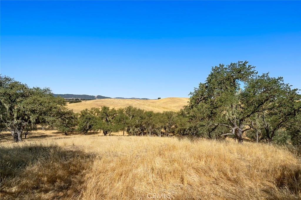 https://media.crmls.org/medias/64497312-507a-4be0-9dd7-852b79ca3a68.jpg?preset=X-Large