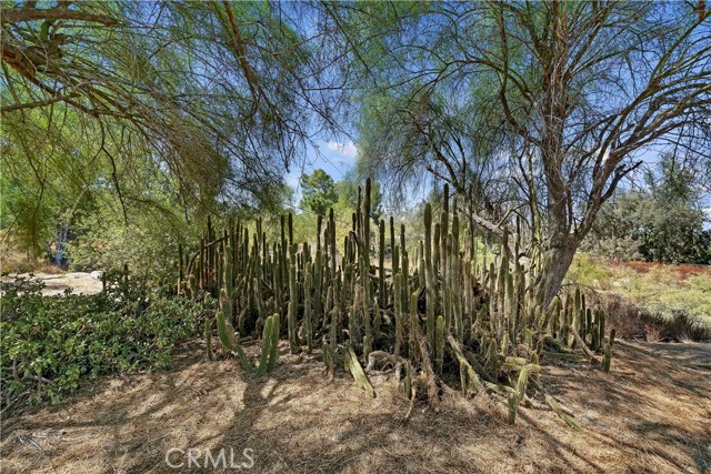 Detail Gallery Image 58 of 68 For 28311 Vista Del Valle, Hemet,  CA 92544 - 3 Beds | 2 Baths