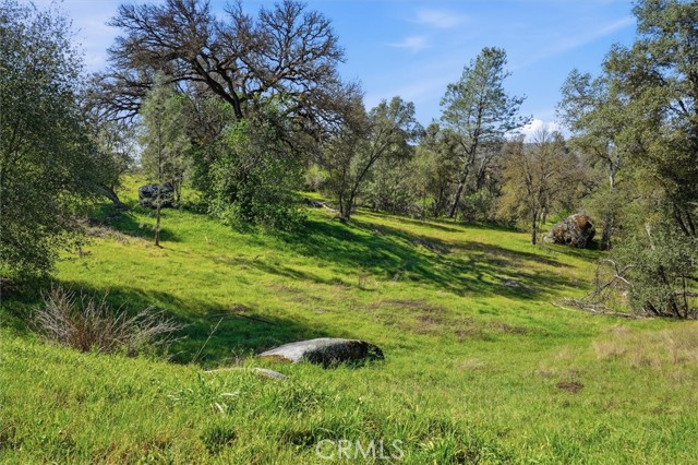 Detail Gallery Image 12 of 34 For 4251 Burl, Mariposa,  CA 95338 - – Beds | – Baths