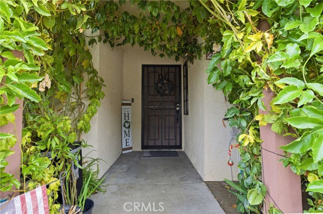 Front Image Thumbnail for CRPW25249696