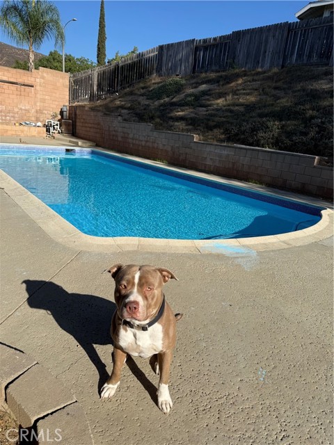 Detail Gallery Image 4 of 11 For 1522 Del Norte Dr, Corona,  CA 92879 - 5 Beds | 2/1 Baths