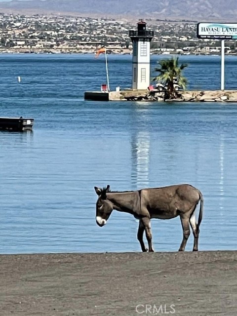 Detail Gallery Image 18 of 18 For 0 Lot 2 on Desert View, Needles,  CA 92363 - – Beds | – Baths
