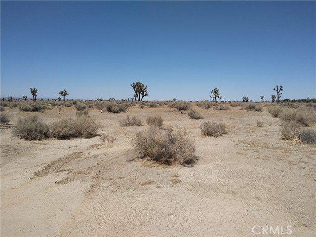 0 Vicinity Avenue I8 & 106 St E, Lancaster, California 93535, ,Land,For Sale,0 Vicinity Avenue I8 & 106 St E,CRSR22055358