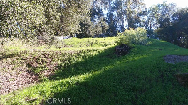 Detail Gallery Image 3 of 18 For 4214 Elzevir Rd, Woodland Hills,  CA 91364 - – Beds | – Baths