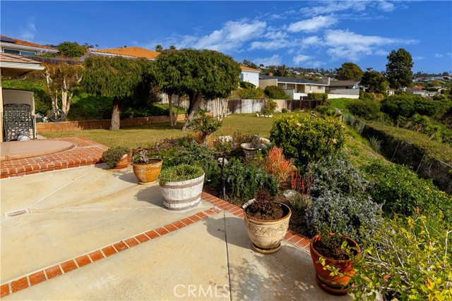 Patio and grassy back yard