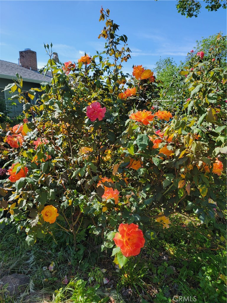 https://media.crmls.org/medias/6471e84c-ead9-466c-9e04-c969e1100451.jpg?preset=X-Large