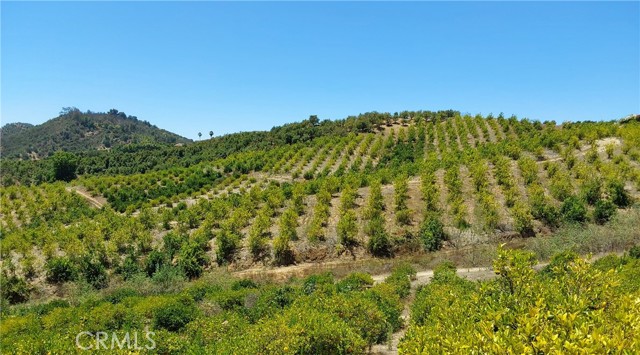 5 De Anza Road, Temecula CA: https://media.crmls.org/medias/64747332-6fdb-44f2-a6ec-0b72b146fdf3.jpg