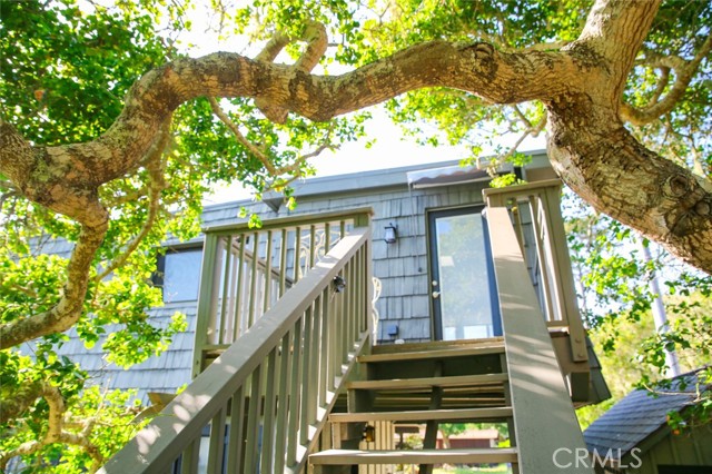 Detail Gallery Image 44 of 74 For 2380 Trenton Ave, Cambria,  CA 93428 - 3 Beds | 2/1 Baths