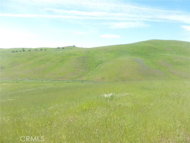 Detail Gallery Image 4 of 40 For 0 Douglas Rd. (Lot 43), San Miguel,  CA 93451 - – Beds | – Baths