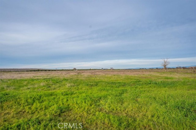 Detail Gallery Image 46 of 48 For 21550 Leaf Ave, Corning,  CA 96021 - 3 Beds | 2/1 Baths