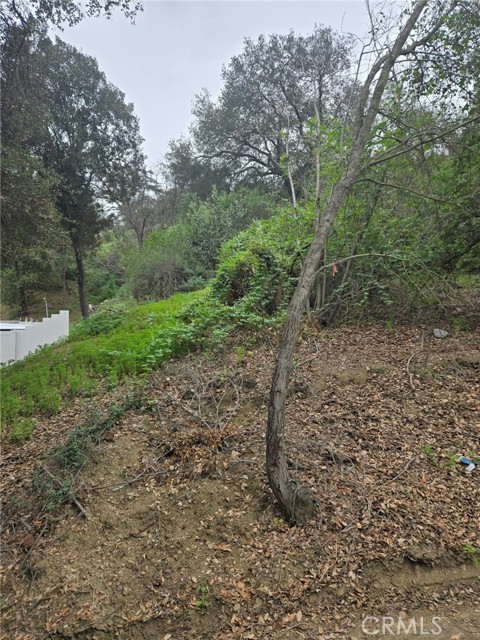 Detail Gallery Image 3 of 10 For 16872 Sumach, Chino Hills,  CA 91709 - – Beds | – Baths