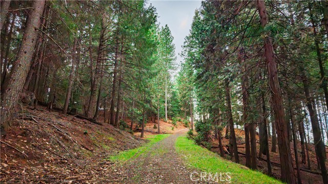 Detail Gallery Image 20 of 22 For 5435 Pine Ridge, Grizzly Flats,  CA 95636 - – Beds | – Baths