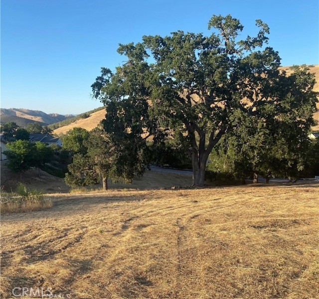 MLS #NS25116594 image #5