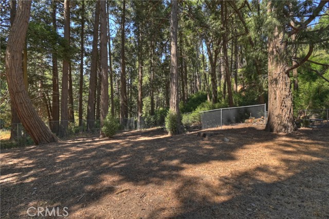 386 Garden Drive, Cedarpines Park CA: https://media.crmls.org/medias/64964dc1-b036-4299-ba46-6a3487ac4fc8.jpg