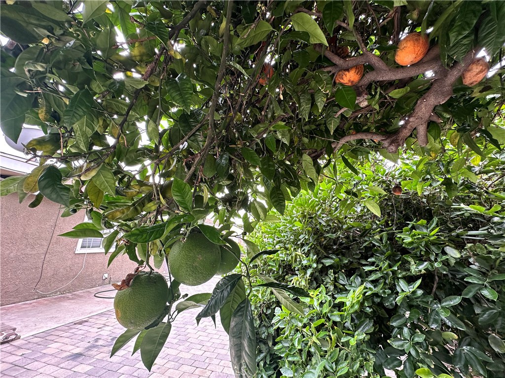 https://media.crmls.org/medias/649ba3b8-92ed-49c8-9cfd-ff2eaba12226.jpg?preset=X-Large