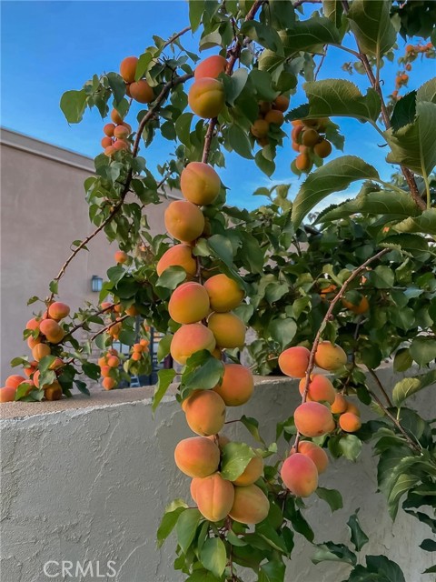 42722 20th W Street, Lancaster CA: https://media.crmls.org/medias/649d5ff1-2921-435d-a08b-ee35972eb3ed.jpg