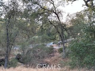 4116 Silver Bar Rd., Mariposa, California 95338, 2 Bedrooms Bedrooms, ,1 BathroomBathrooms,Single Family Residence,For Sale,Silver Bar Rd.,MP24194213