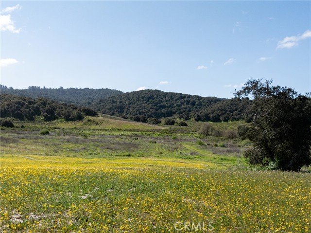Detail Gallery Image 66 of 68 For 1172 Ginger Pl, Santa Maria,  CA 93455 - 3 Beds | 2/1 Baths