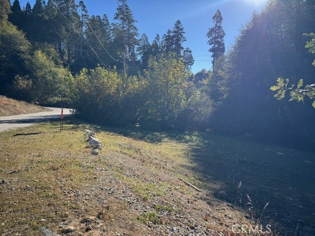 Detail Gallery Image 6 of 7 For 430 Alder Ln, Cedar Glen,  CA 92321 - – Beds | – Baths