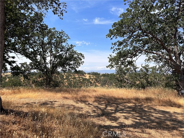 16173 Nugget, Corning, CA, 96021 16173 Nugget, Corning, CA, 96021