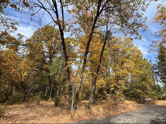 Detail Gallery Image 5 of 8 For 54692 Bluegill, Bass Lake,  CA 93604 - – Beds | – Baths