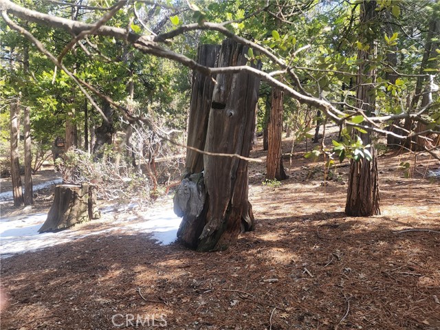 Detail Gallery Image 18 of 61 For 52547 Pine Cove Rd, Idyllwild,  CA 92549 - – Beds | – Baths