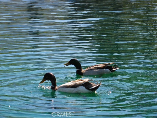 Detail Gallery Image 22 of 41 For 16324 Grizzly, –,  CA 93222 - 1 Beds | 1 Baths