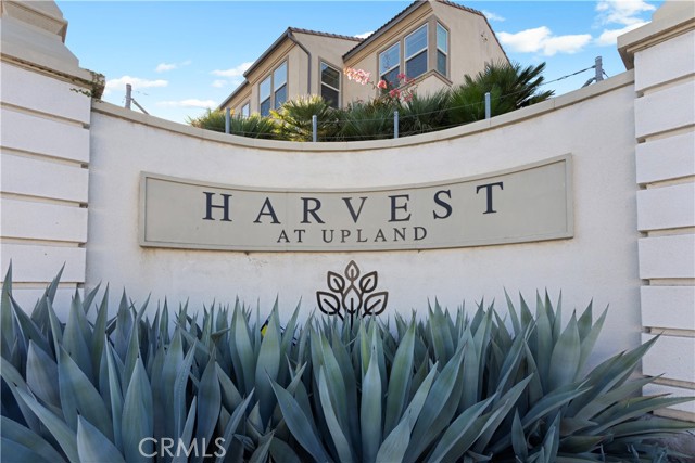 839 Cranberry Way, Upland CA: https://media.crmls.org/medias/64c3d1f3-402b-4852-a549-1522c493ea04.jpg