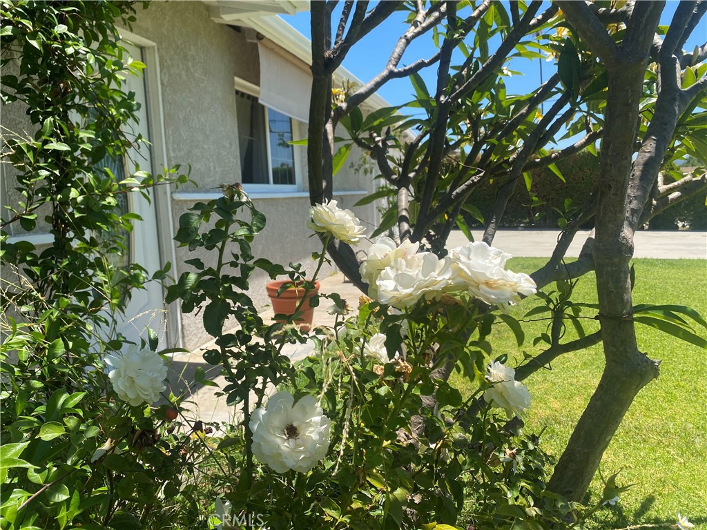 https://media.crmls.org/medias/64c41ff1-054f-4125-ba8b-79dd206c8d63.jpg?preset=X-Large
