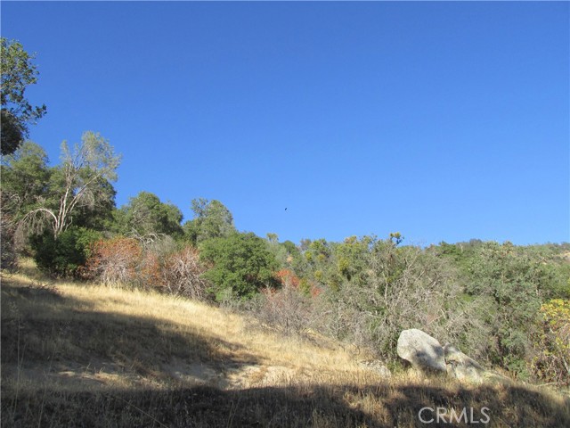 Detail Gallery Image 50 of 54 For 2 Ac Old Oaks Ct, North Fork,  CA 93643 - – Beds | – Baths