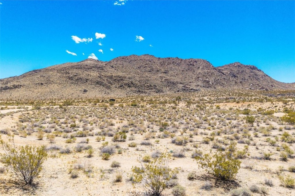 MLS #JT25107809 image #16