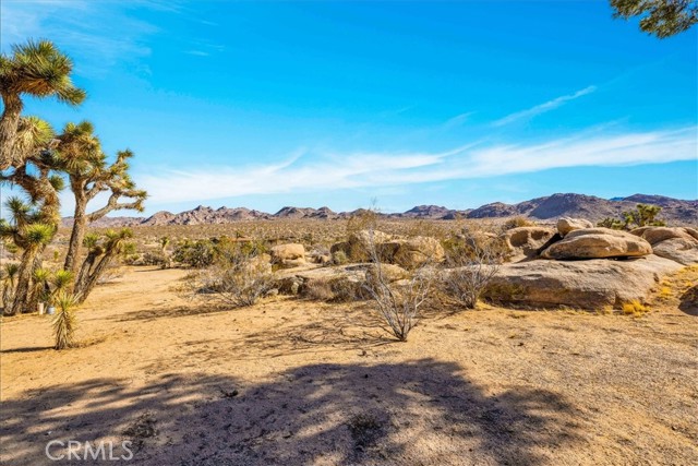 8427 Rock Haven Road, Joshua Tree CA: https://media.crmls.org/medias/64ce5edb-63e3-414f-adf1-9deee72e791c.jpg