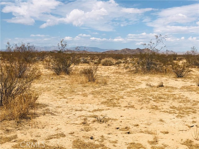Detail Gallery Image 1 of 1 For 0 E of Sunset Rd, Joshua Tree,  CA 92252 - – Beds | – Baths