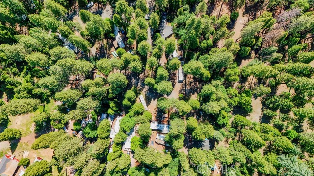 26600 CA-Highway 88, Pioneer CA: https://media.crmls.org/medias/64de8c42-78e8-490d-9b15-2beece589e3a.jpg