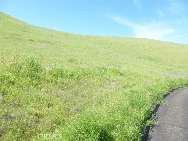 Detail Gallery Image 45 of 51 For 0 Douglas Rd. (Lot 33), San Miguel,  CA 93451 - – Beds | – Baths