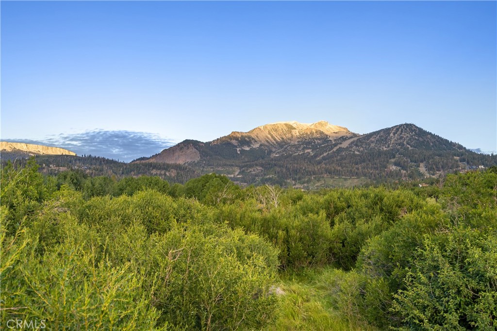 https://media.crmls.org/medias/64e362cd-716d-49f0-9aef-bf7a6a7cf35a.jpg?preset=X-Large