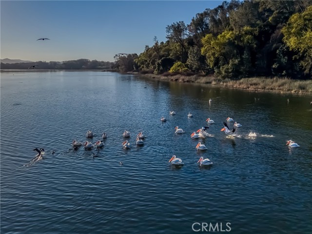 Detail Gallery Image 64 of 72 For 5740 Sunrise, Lower Lake,  CA 95457 - 3 Beds | 2 Baths