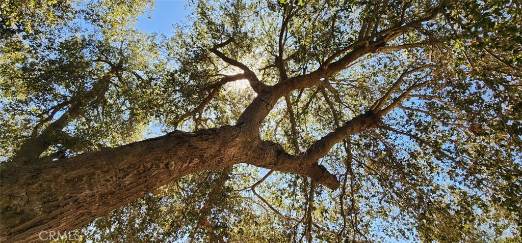 https://media.crmls.org/medias/64e6091e-7b8a-4421-af05-ac008aa5e544.jpg?preset=X-Large