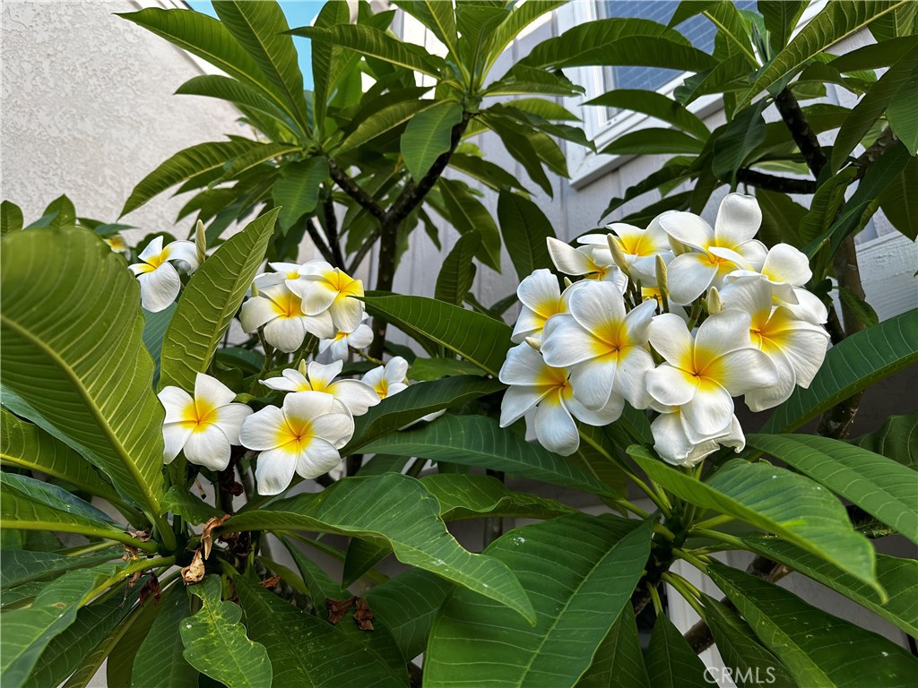 https://media.crmls.org/medias/64e7a006-f264-4473-9cf7-314c9c5e8eeb.jpg?preset=X-Large
