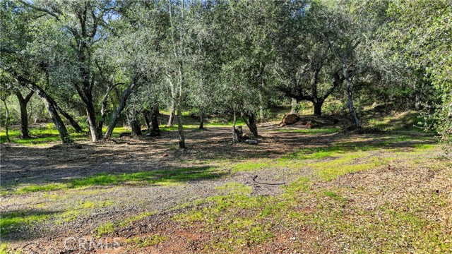 0 Avenida Perla Bonita, Murrieta CA: https://media.crmls.org/medias/64e937c5-8404-4f25-84f7-98aaae120025.jpg