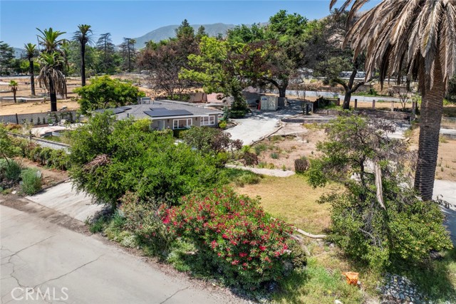701 E Palm Street, Altadena CA: https://media.crmls.org/medias/64e96366-a6fb-4103-947b-93c0401faa0a.jpg