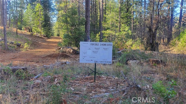 1 Coutolenc Road, Magalia, California 95954, ,Land,For Sale,1 Coutolenc Road,CRSN23217034