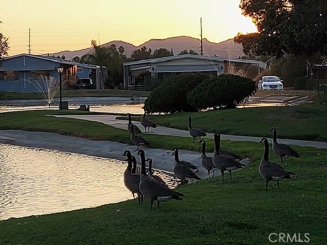 Detail Gallery Image 43 of 45 For 1300 W Menlo Ave #100,  Hemet,  CA 92543 - 2 Beds | 2 Baths