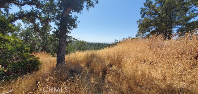Detail Gallery Image 10 of 16 For 15615 Oakridge Rd, Corning,  CA 96021 - – Beds | – Baths