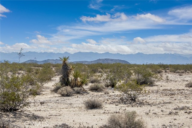 0 Brants Cross Road, Joshua Tree CA: https://media.crmls.org/medias/650593fc-62bf-44d2-a4d8-c0dd0cdcc4f1.jpg