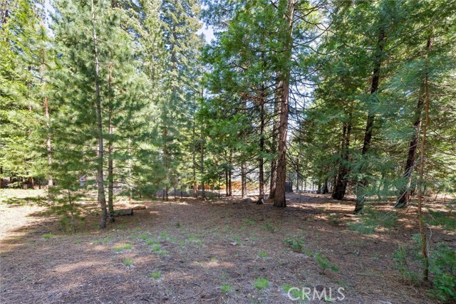 Detail Gallery Image 38 of 42 For 910 Clifford Dr, Almanor,  CA 96137 - 3 Beds | 2 Baths