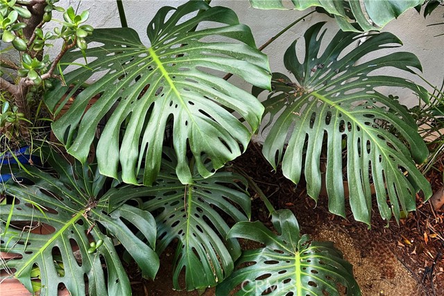 Detail Gallery Image 12 of 43 For 1206 N La Brea Ave, Inglewood,  CA 90302 - 2 Beds | 2 Baths